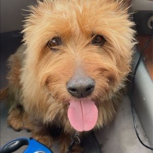 Meet your Posher, Alison